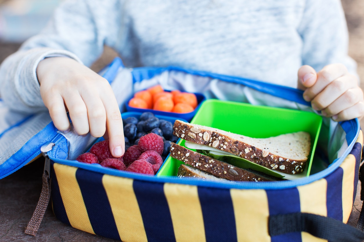 Healthy lunch with berries and sandwich